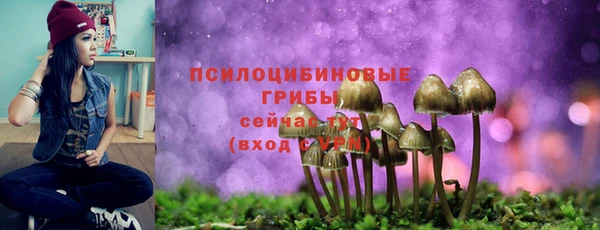 экстази Алексеевка